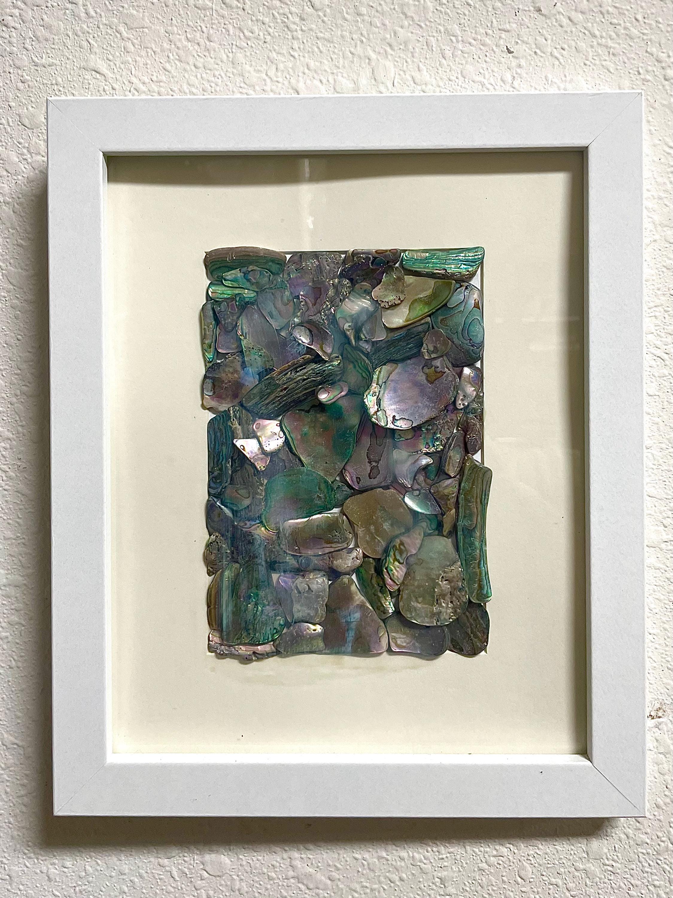 Framed Abalone Shell Wall Art: Mendocino Coast Foraged