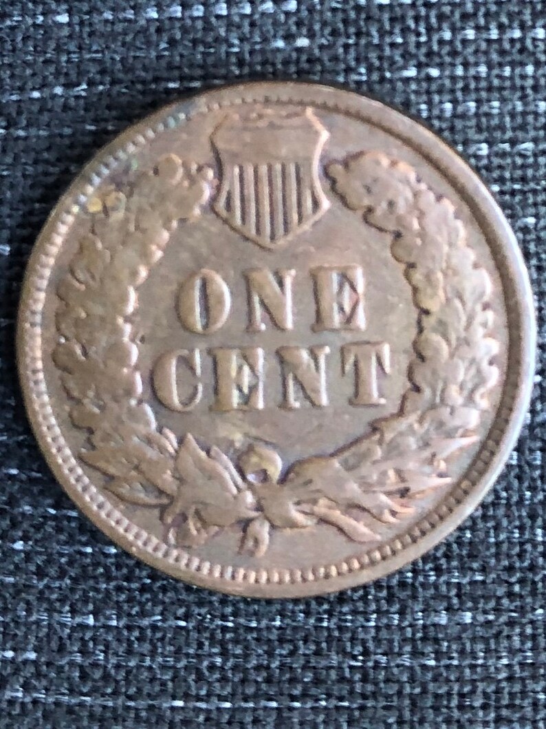 Not Graded 1900 Indian Head Cent