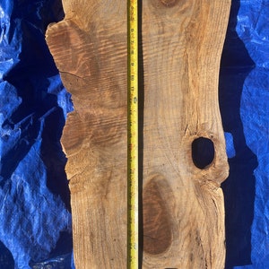 Raw Edge Redwood Platte: DIY Bench Table Wood (70 x 33 x 3 cm)