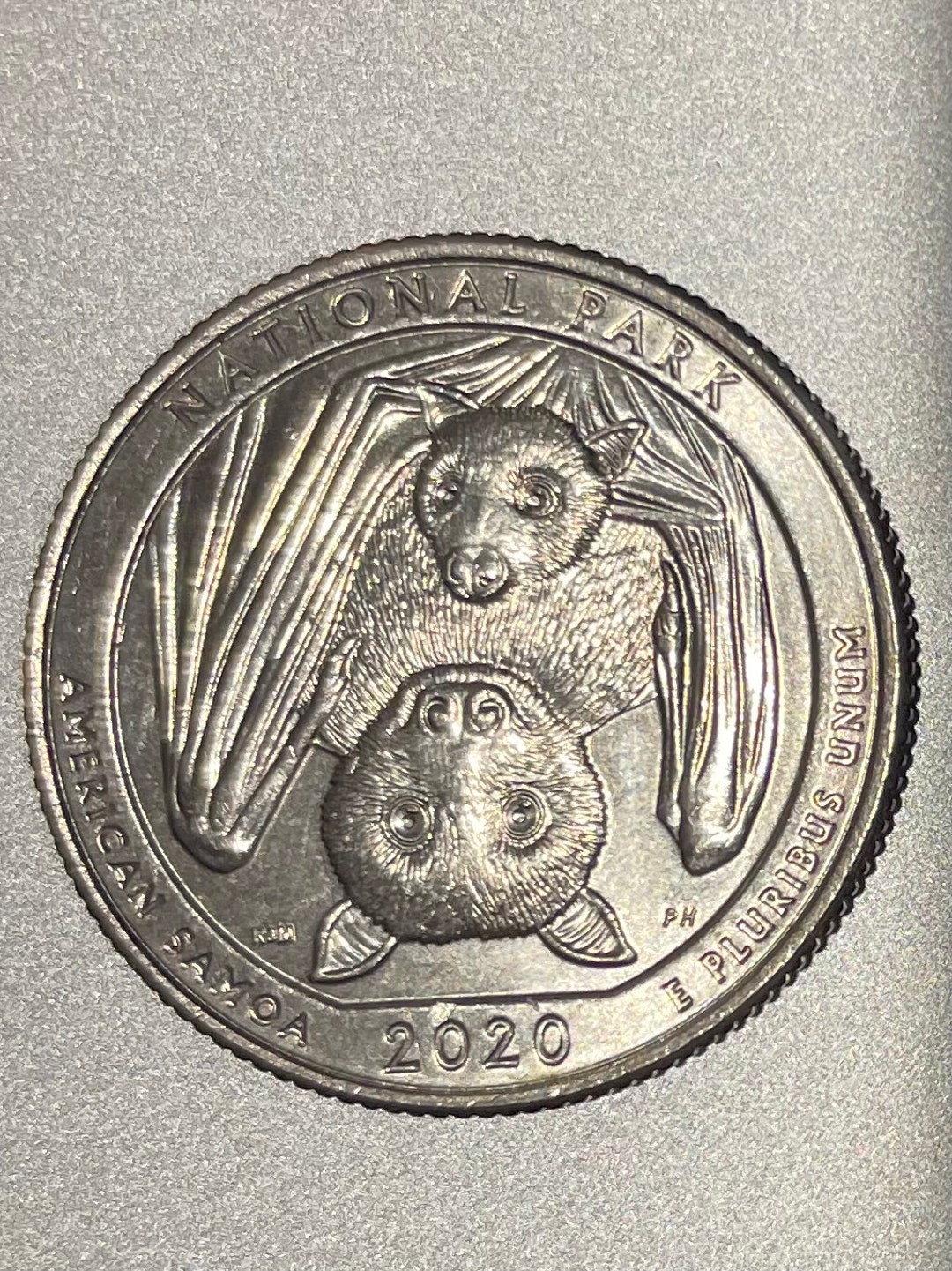 2020D, BU American Samoa Park Fruit Bat Quarter. Etsy