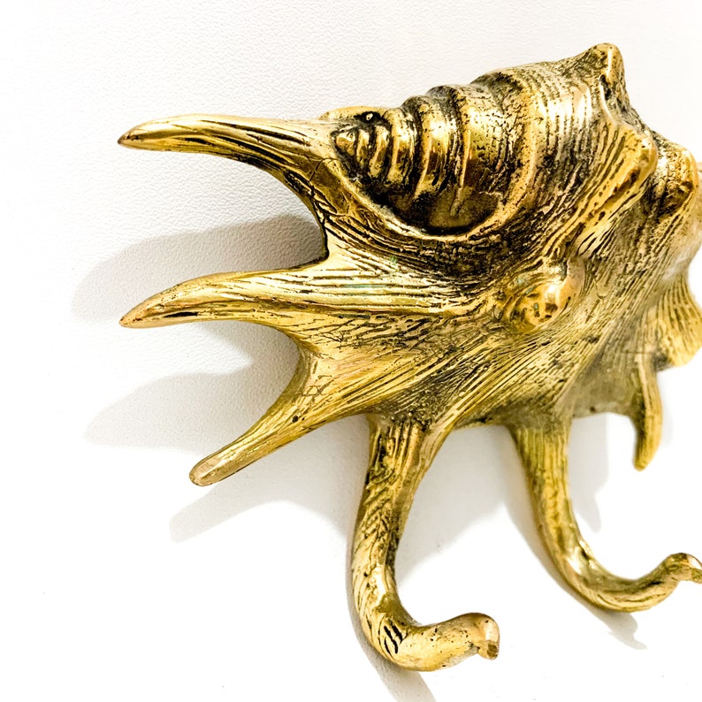 Clamshell Brass Wall Hook, Coastal Home Decor, Summer Gift - Etsy