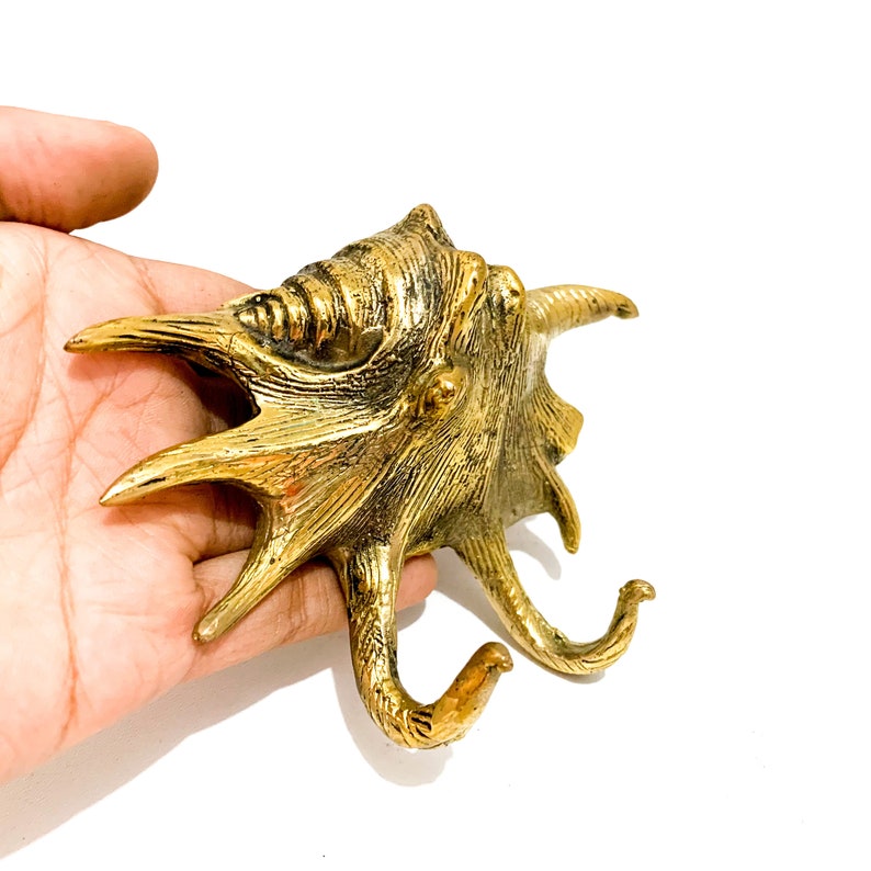 Clamshell Brass Wall Hook, Coastal Home Decor, Summer Gift - Etsy