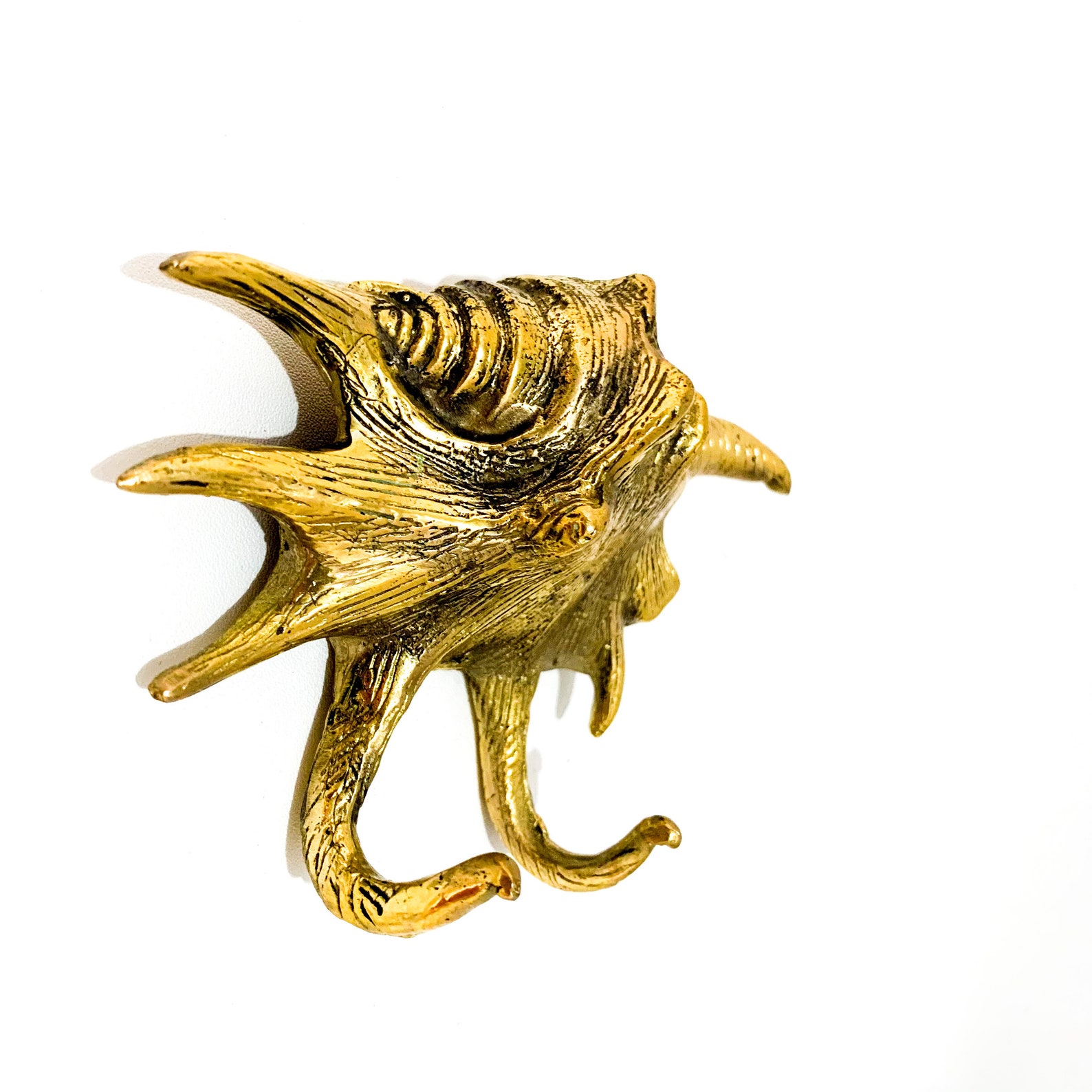 Clamshell Brass Wall Hook, Coastal Home Decor, Summer Gift - Etsy