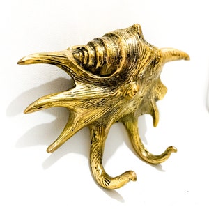 Unique clamshell Brass Hook, unique coat hook, Gifts for him, gifts for her, Brass Clothes Hook, Halloween Gift, Wall Hook, Home Decor