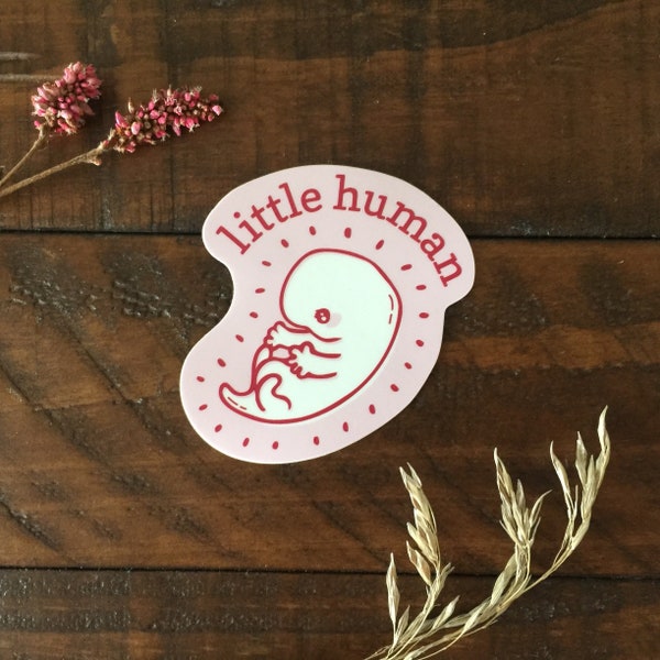 RESERVED FOR ANGEON: Cute Pro Life Sticker | Little Human Matte Vinyl | Cute Embryo/Fetus Design | Anti Abortion Laptop Decal