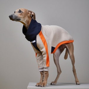 Italian Greyhound and Whippet Multicoloured Turtleneck Sweater, Dog Clothes - TRICOLOR