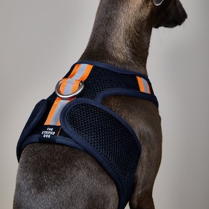 Italian Greyhound Navy Blue Neoprene Mesh Harness, Accessories, Dog Harness - CHROMA