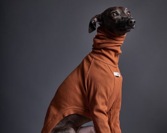 designer whippet coats