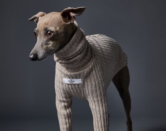 Italian Greyhound and Whippet Sand Turtleneck Sweater, Dog Clothes - PALMDALE