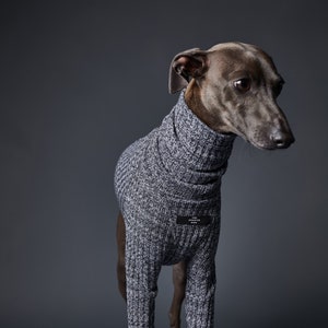 Blue italian whippet cheap