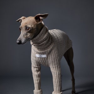 Italian Greyhound and Whippet Sand Turtleneck Sweater, Dog Clothes - PALMDALE