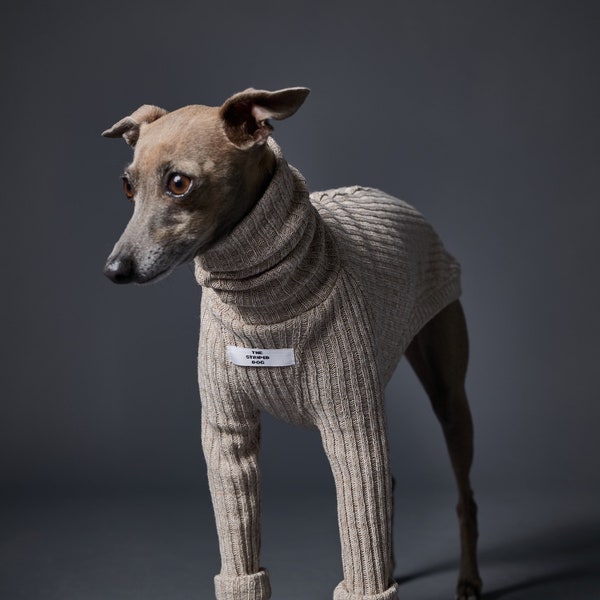 Pull à col roulé lévrier italien et whippet sable, Vêtements pour chien - PALMDALE