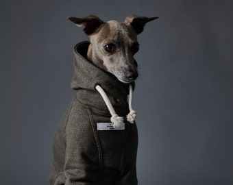 Italian Greyhound and Whippet Green Basic Hoodie, Dog Clothes - FONTANA