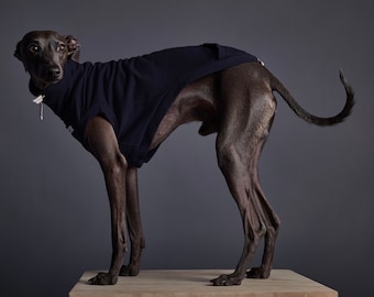Italian Greyhound and Whippet Blue Vest, Dog Clothes - MELROSE