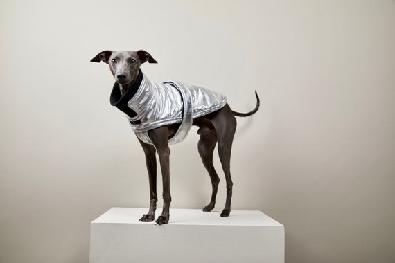 whippet turtleneck