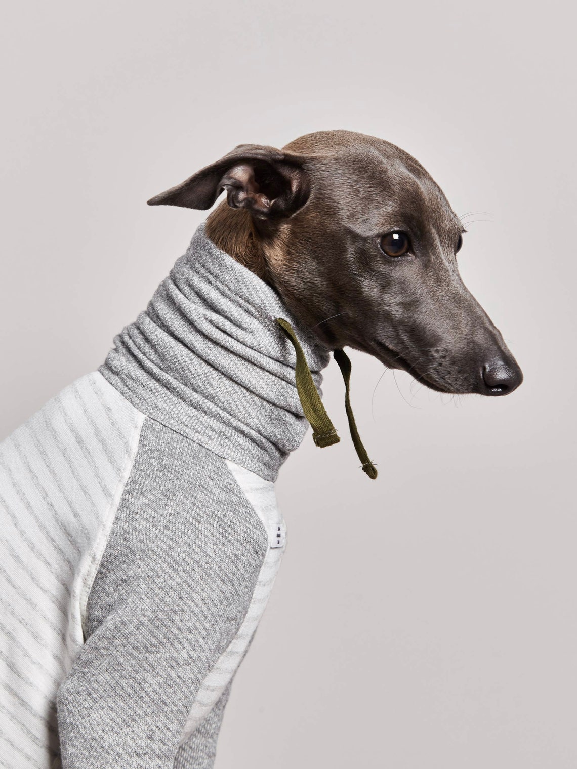 Italian Greyhound / Whippet OXFORD Striped Turtleneck Sweater Etsy