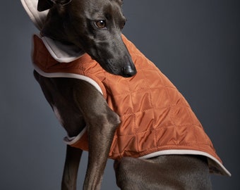 Italian Greyhound and Whippet Terracotta Reversible Waterproof Jacket, Dog Coat, Dog Clothes - SUNSET