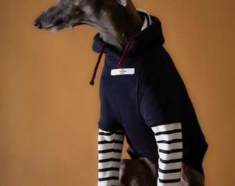 Marineblauer Kapuzenpullover für italienische Windhunde/Whippets mit Streifen, Hundekleidung, Kleidung für italienische Windhunde, Whippet-Kleidung – PARIS