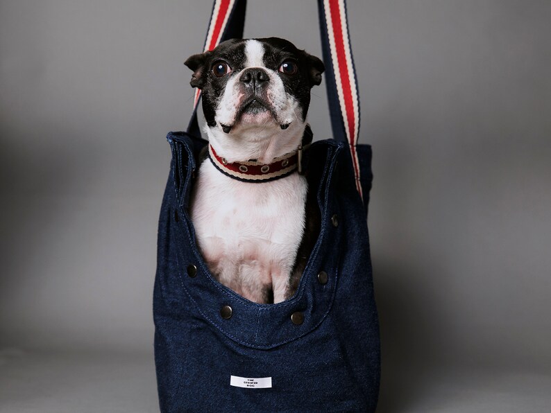 SUBWAY CarryOn Bag Dog CarryOn Bag Dog Carrier Etsy