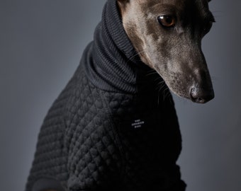 Schwarzer Rollkragenpullover für italienische Windhunde und Whippets, Hundebekleidung – RODEO