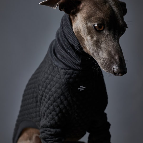 Italian Greyhound and Whippet Black Turtleneck Sweater, Dog Clothes - RODEO