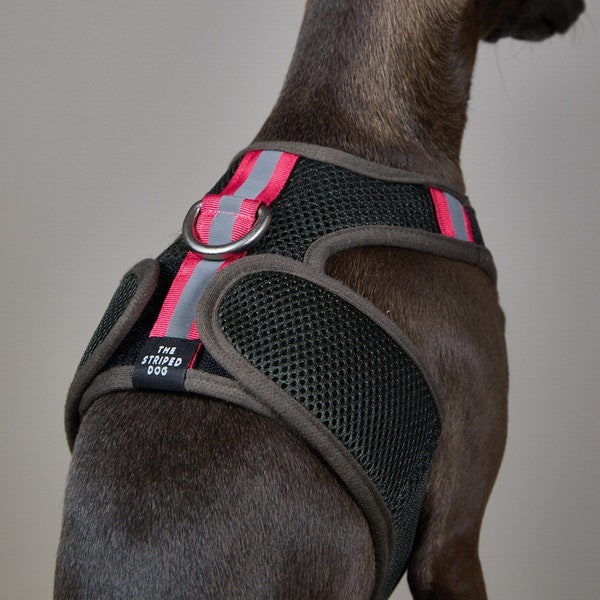 Italian Greyhound Military Green Neoprene Mesh Harness, Dog Harness - CHROMA