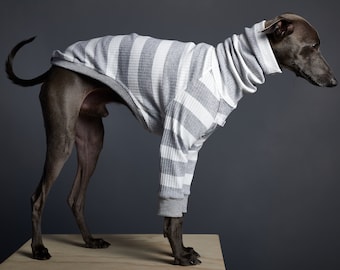 Italian Greyhound and Whippet Striped Turtleneck Sweater, Dog Clothes - BREA