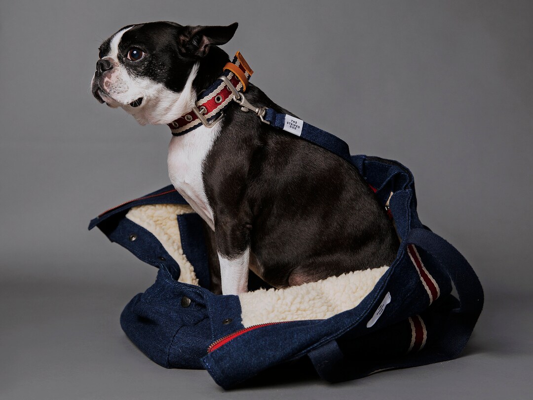 Dog Carryon Bag Carrier Travel SUBWAY Etsy