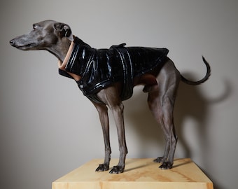 Italian Greyhound and Whippet Black Waterproof Turtleneck Jacket, Dog Coat, Dog Clothes - VENICE