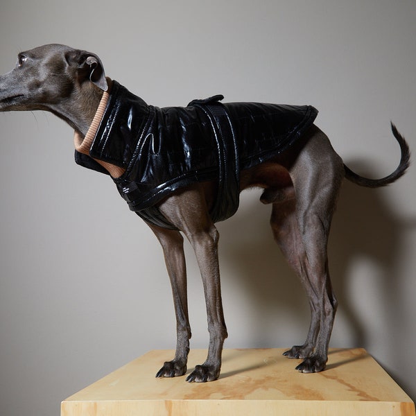 Italian Greyhound and Whippet Black Waterproof Turtleneck Jacket, Dog Coat, Dog Clothes - VENICE