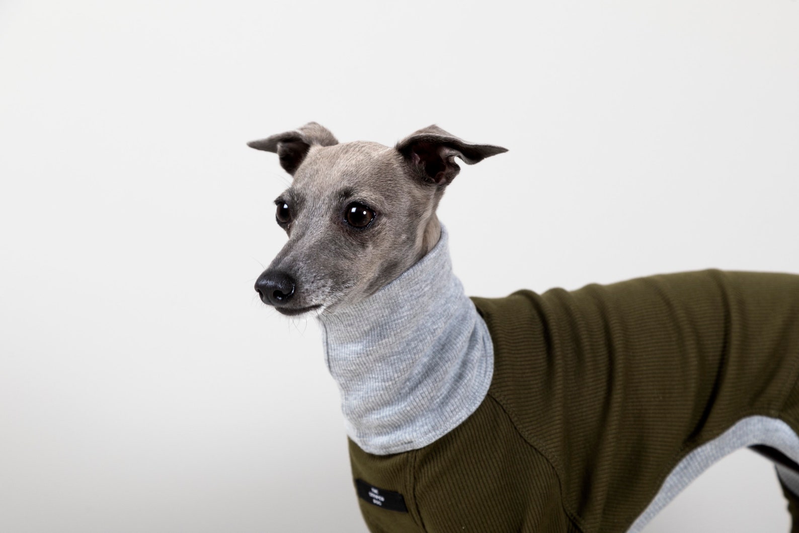 Italian Greyhound / Whippet CHESTER Ribbed Turtleneck Jumpsuit Etsy