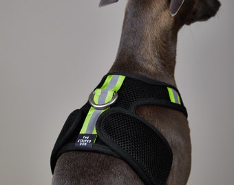 Italian Greyhound Black Neoprene Mesh Harness, Accessories, Dog Harness - CHROMA