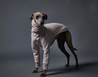 Italian Greyhound and Whippet Sand Turtleneck Sweater, Dog Clothes - CALIFORNIA