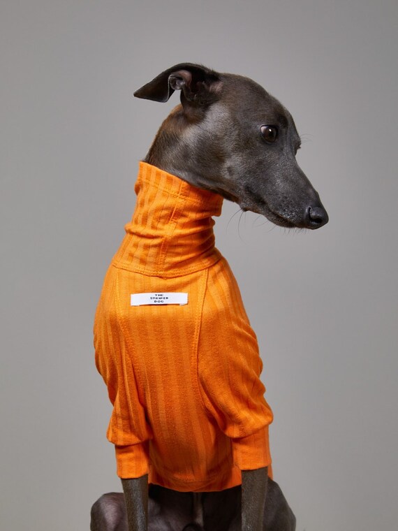 Orange ribbed cheap turtleneck