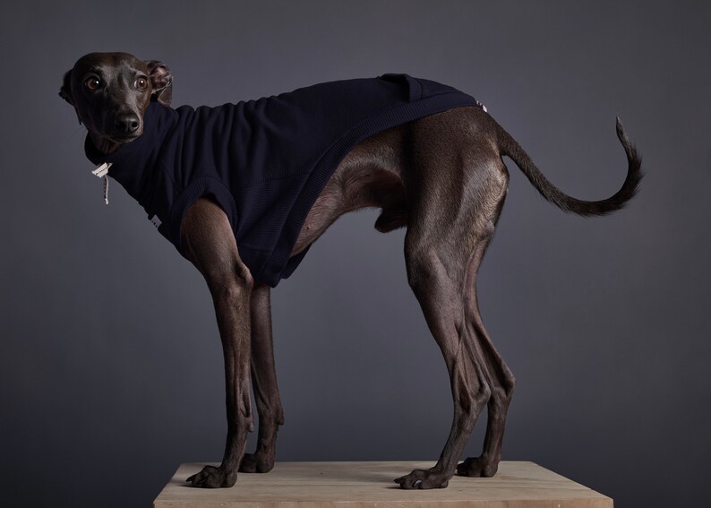 whippet vest