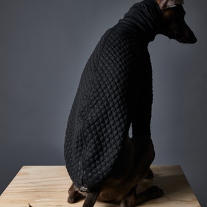 Italian Greyhound and Whippet Black Turtleneck Sweater, Dog Clothes RODEO image 2