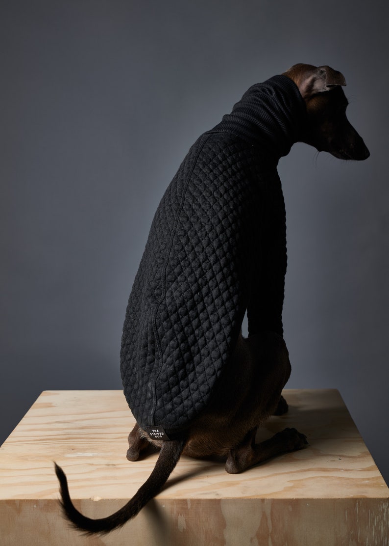 Italian Greyhound and Whippet Black Turtleneck Sweater, Dog Clothes RODEO image 2
