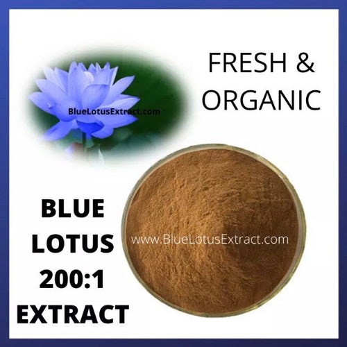 Blue Lotus Extract. 2001 Extract From Nymphaea Caerulea. BEST Etsy