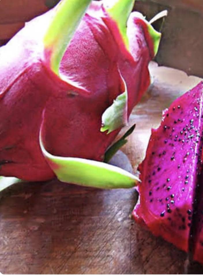 Dragon fruit american beauty - Etsy 日本