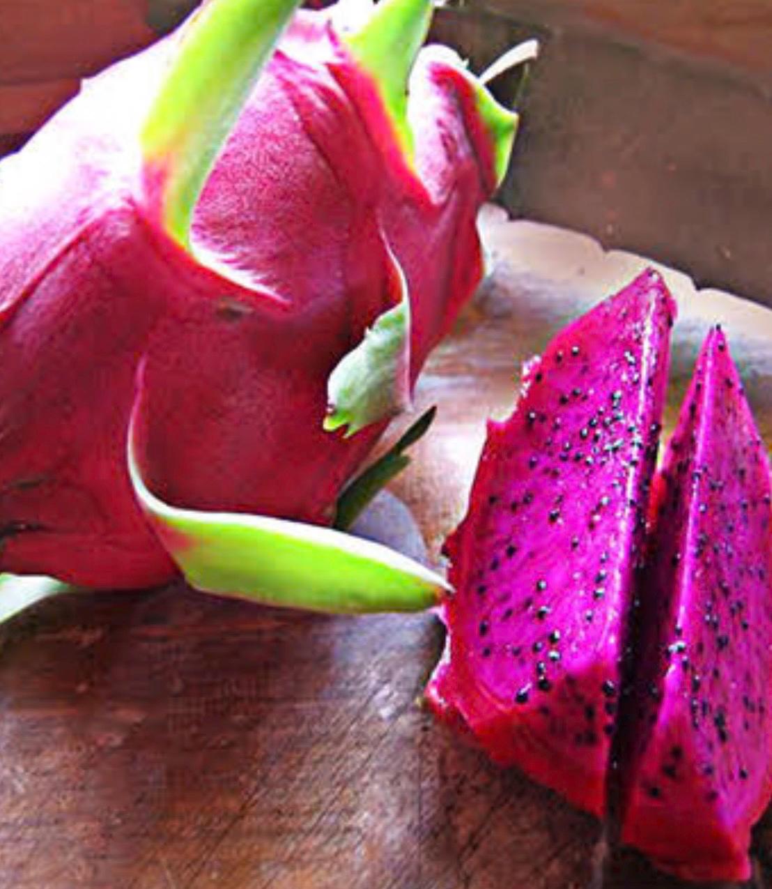 Dragon fruit american beauty - Etsy 日本