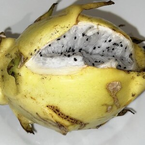 May include: A yellow dragon fruit with a partially peeled skin revealing white translucent flesh speckled with small black seeds. The outer rind has a smooth texture with some brown markings and pointed protrusions at the ends.