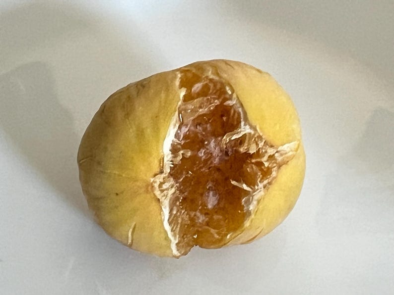 May include: A close-up shot of a partially peeled orange. The exterior is a pale yellow, with a section removed to reveal the juicy, orange interior. The fruit sits on a white surface.