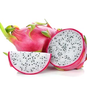 4 Large Cuttings White Vietnamese DRAGON Fruit GUARANTEED GROWTH or free replacement, Self Pollinating.