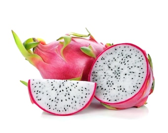 Rooted White Vietnamese Dragon Fruit, Purple Skin,Sweet White Flesh 2-4 ft. Guaranteed growth, or free replacement.