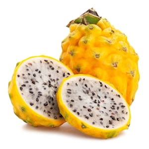 Yellow Dragon Fruit Live Plant Organic, 2-14&quot; Rooted in pot. Guaranteed growth, or free replacement.