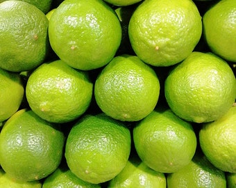 Rare Organic Seedless Persian Large Limes Live Tree, Plant 6" or more Rooted in Pot. Guaranteed growth, or free replacement.