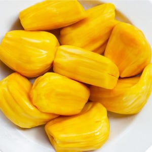 Delicious Rare JACKFRUIT Organic Rooted with Foliage Live Plant/ Tree 1-2 ft, Guaranteed growth, or free replacement.