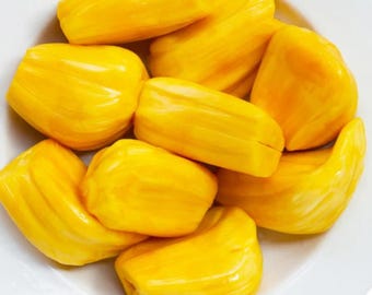 Rare Organic Jackfruit Tree, Rooted Live Plant (1-2 ft) Guaranteed growth, or free replacement.