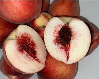 Organic Red Core Peach Tree, White Flesh, Guaranteed Growth (10-15 in)