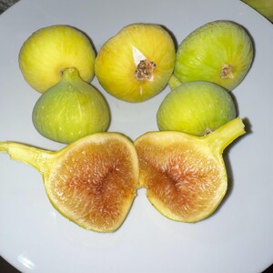 May include: A collection of fresh figs, some whole and others halved, arranged on a white plate. The figs vary in color from light green to yellow, with a reddish-brown interior visible in the cut fruit. The image highlights the natural colors and textures of the fruit.